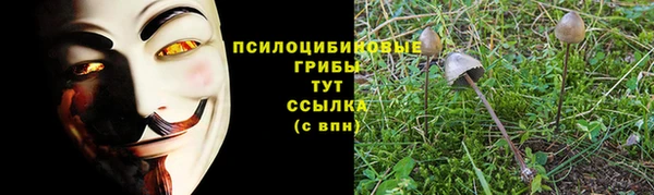 ALPHA PVP Абаза